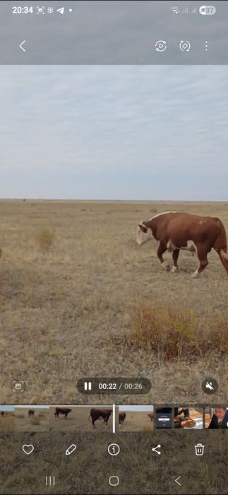Букалар сатылады