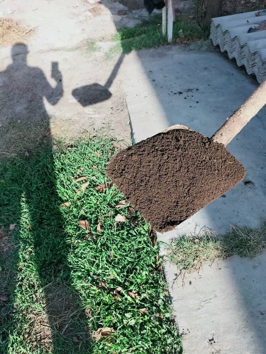 Biogumus биогумус