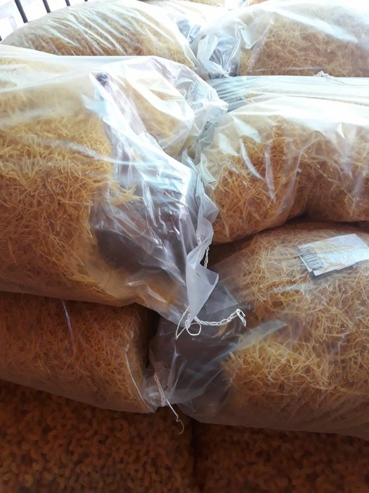 Makaron ishlab chiqarish biznes! Srochno sotiladi