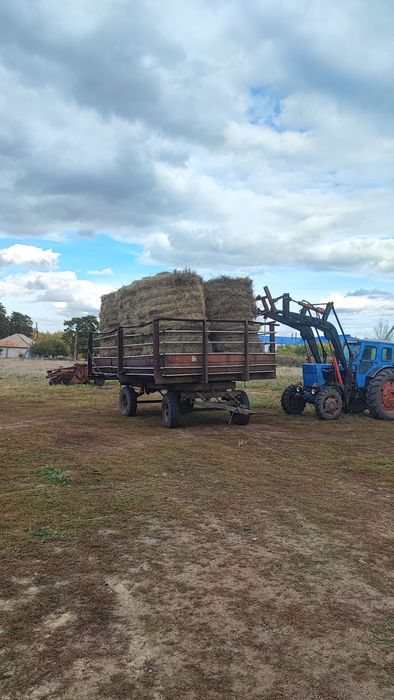 Продам прошлоголнее сено, луговое, пресс прф-145,