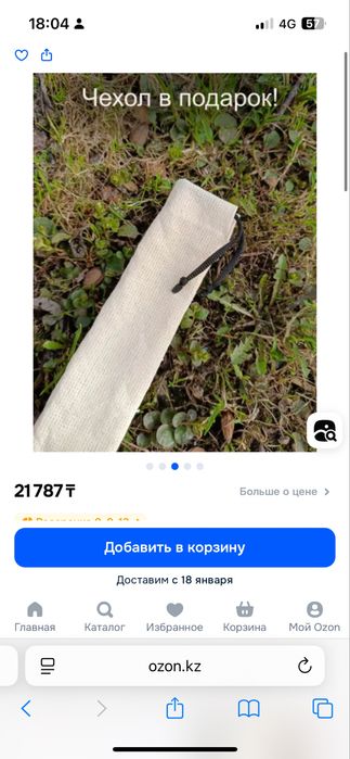 Флейта диатоническая