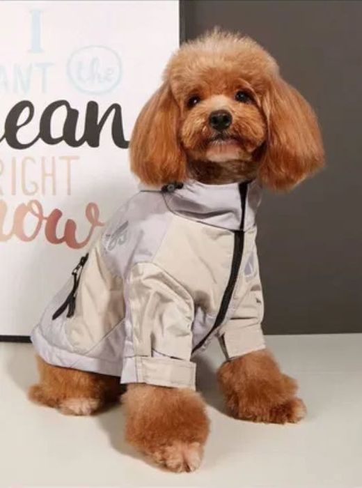 Зимно яке за куче