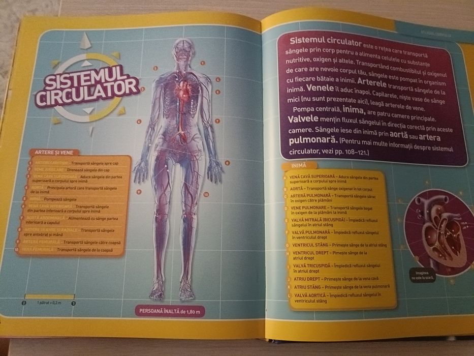 Enciclopedia Corpului Uman de National Geographic Kids