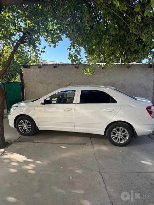 Cobalt LTZ 2023 full