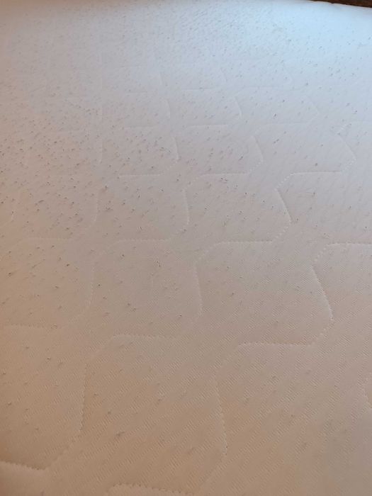 Лени сандвич легло 120/200