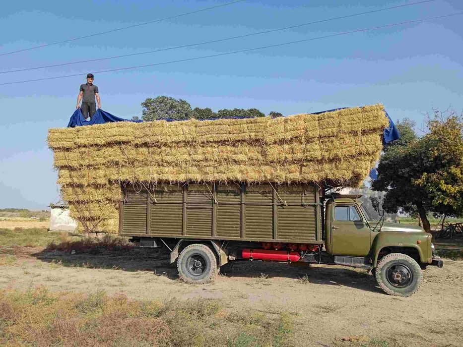 Dilnemer Gaz 53 sotiladi