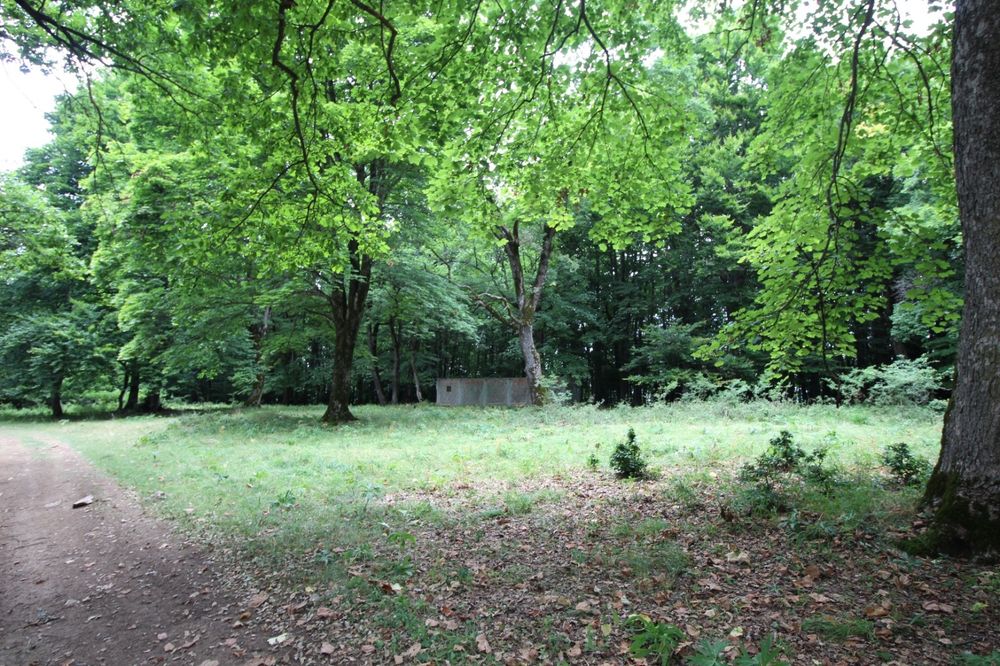 Teren Poiana Brașov 4713 mp-Zona de investiție  teren lângă Sergiana
