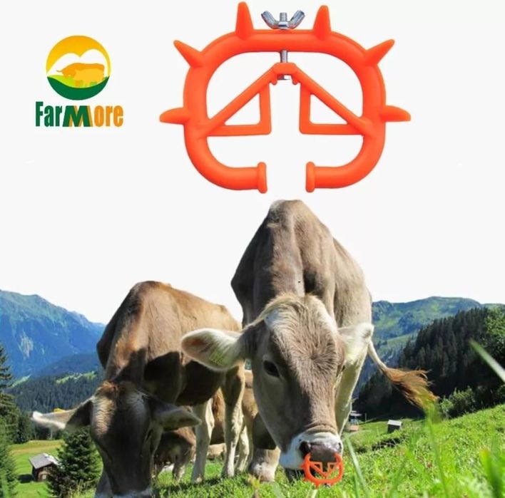 Кольцо против самовыдаивания телят коров