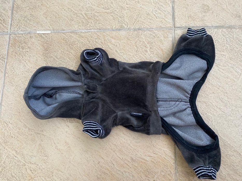 Одежда для мелких пород собаки