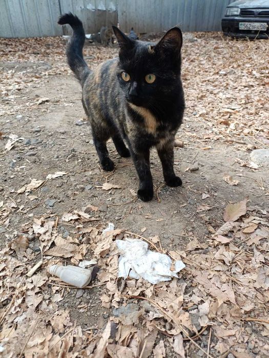 В самые ответственные руки