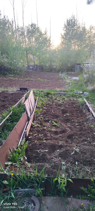 Дача с домиком в обществе природа