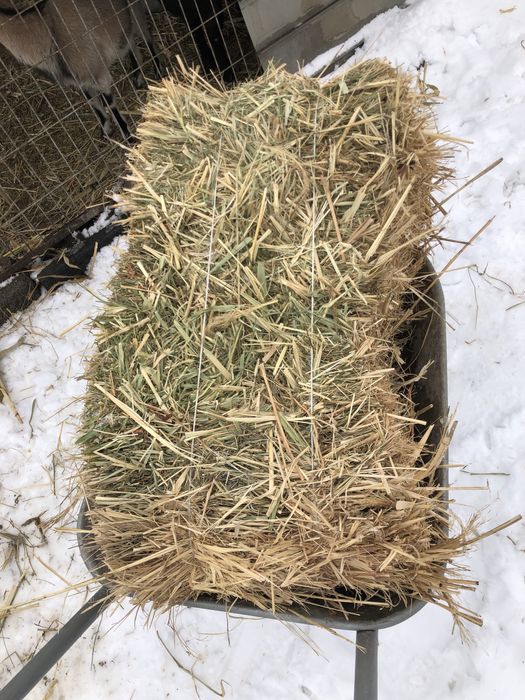 Шөп сатылады шөп сатылады