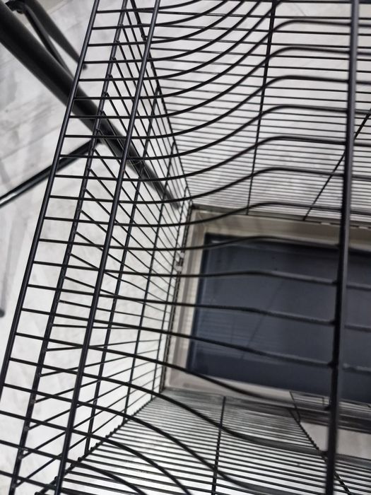 Cusca pentru pasari!