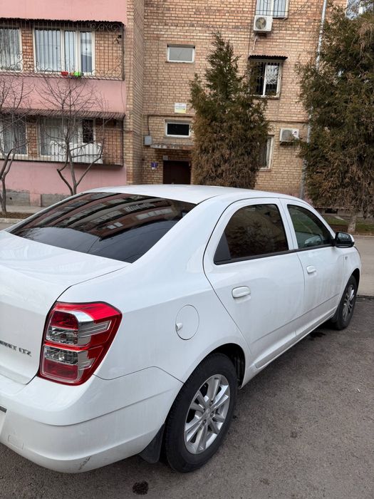 Other Cobalt 2025 — 4