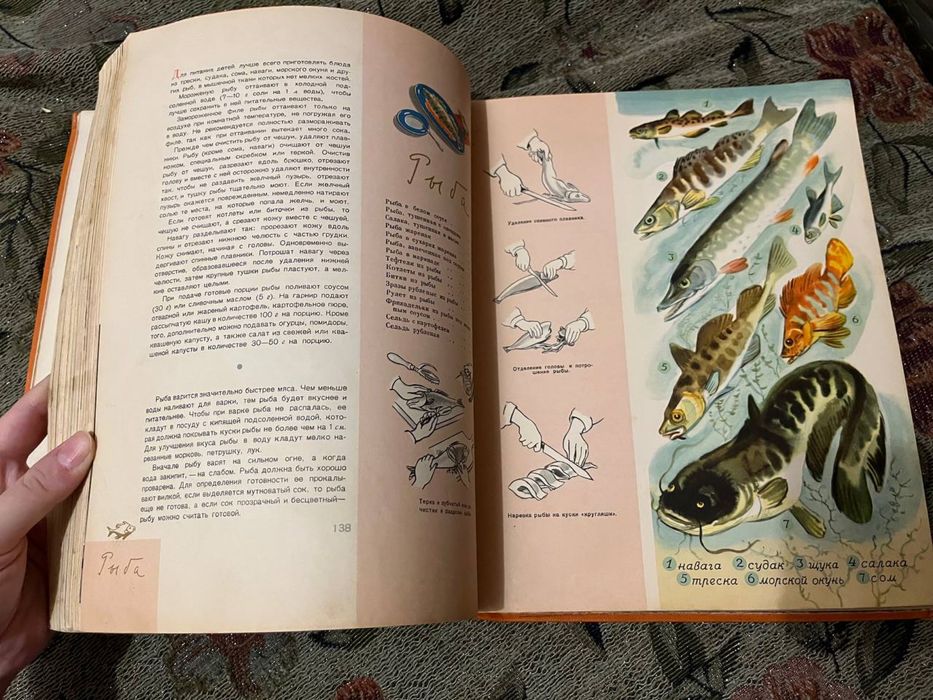 Питание школьника, книга 1959 год