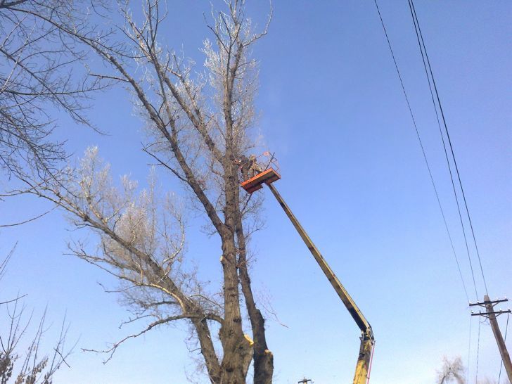 Снос, спил,санитарная обрезка!!!