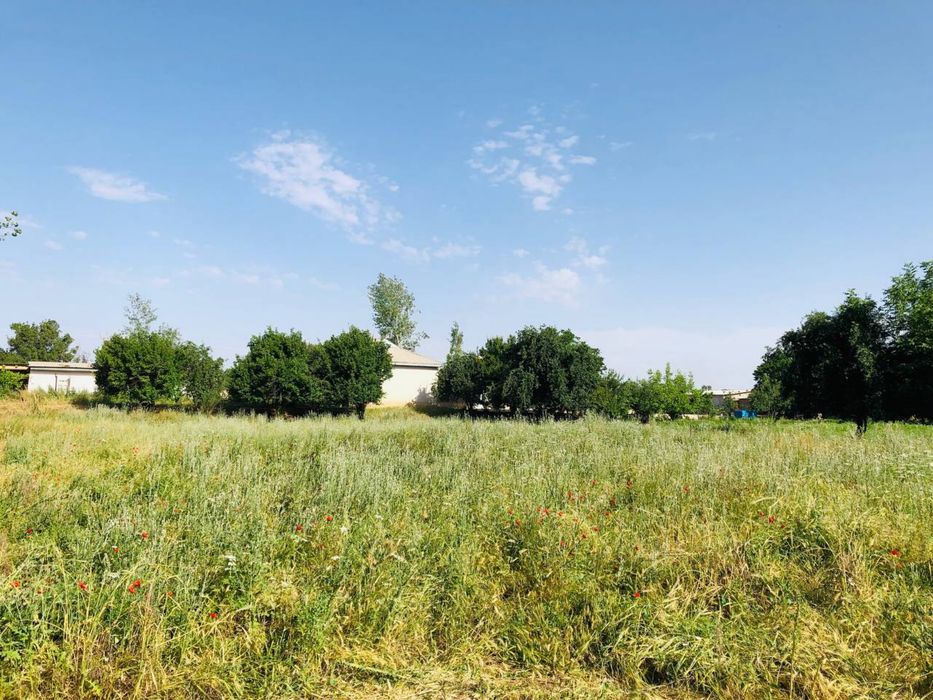 HOVLI SOTILADI  24sotix 8xonali yashashga tayyor