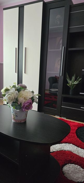 Închiriez apartament  cu 2 camere Obcini