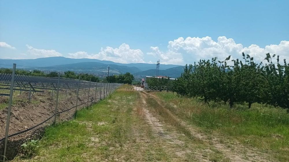 Продава се Парцел в с. Белащица, Област Пловдив - 4078 кв.м за 75 €/кв.м - Снимка #2