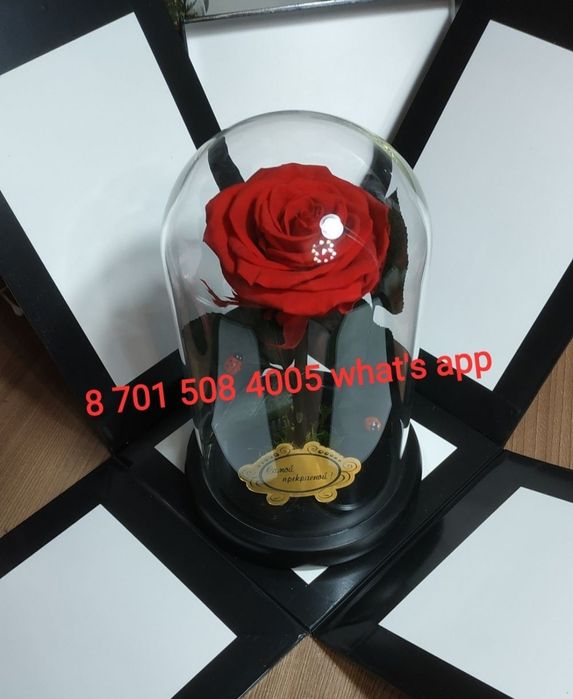 Супер-Подарок! Тренд сезона! Роза в колбе- оригинал!