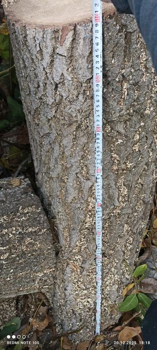 Орехов материал  .