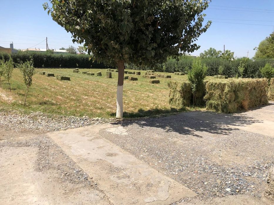 Uy sotiladi Xovos tumani Farhod 5 daxasiida