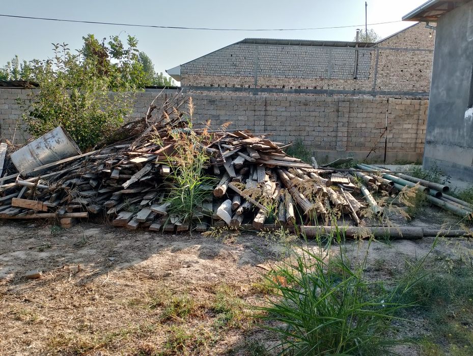 Rasiski turbalar bor   chorni yogochlarxam