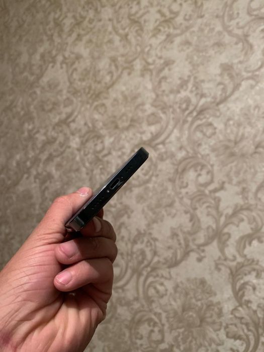 iPhone    12.  Про