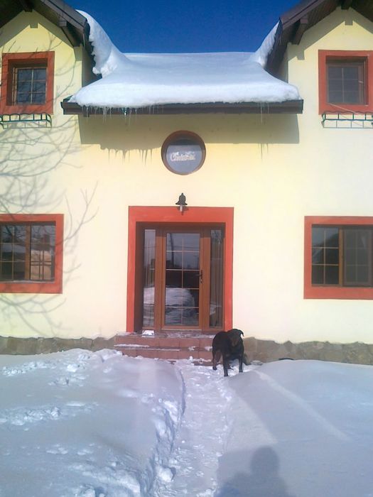 Vind   casa 200mp și 800 mp teren  ,anexe 100mp        fara agentii