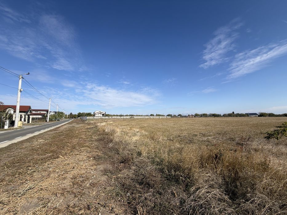 Vând teren 10.000 mp Giarmata Mare