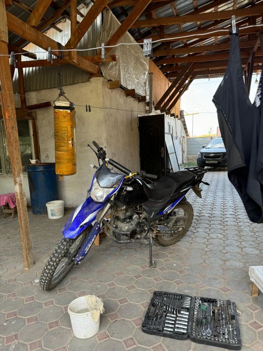 эндура.        _