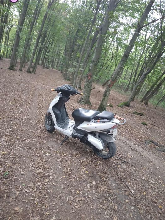 Vand kinco agiliti 50