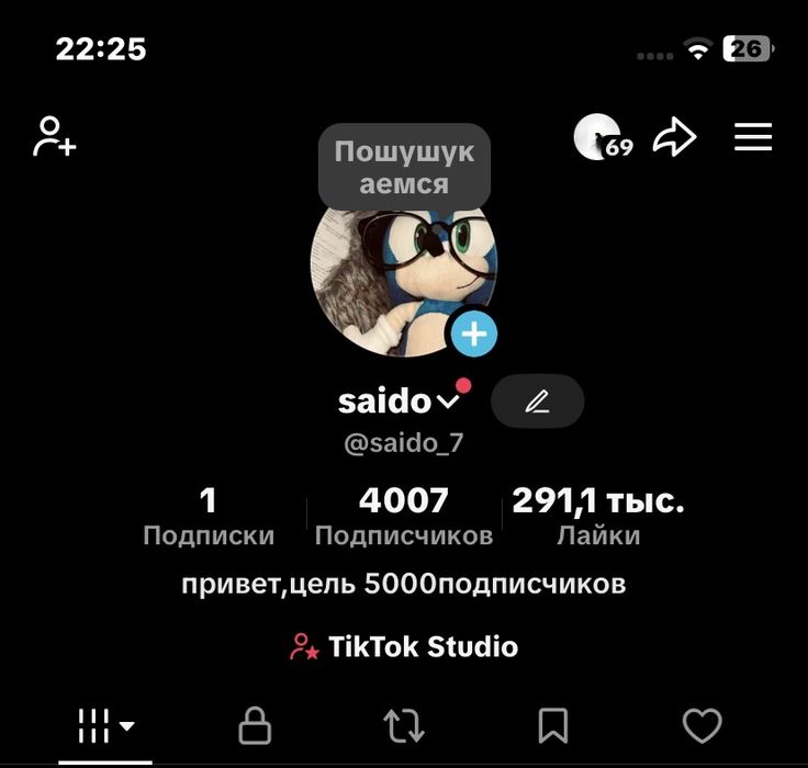 Тикток аккаунт стрим лайф студио