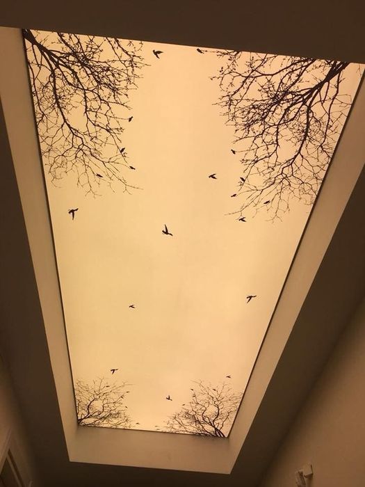 Натяжной потолок/ Natejnoy / Guliston