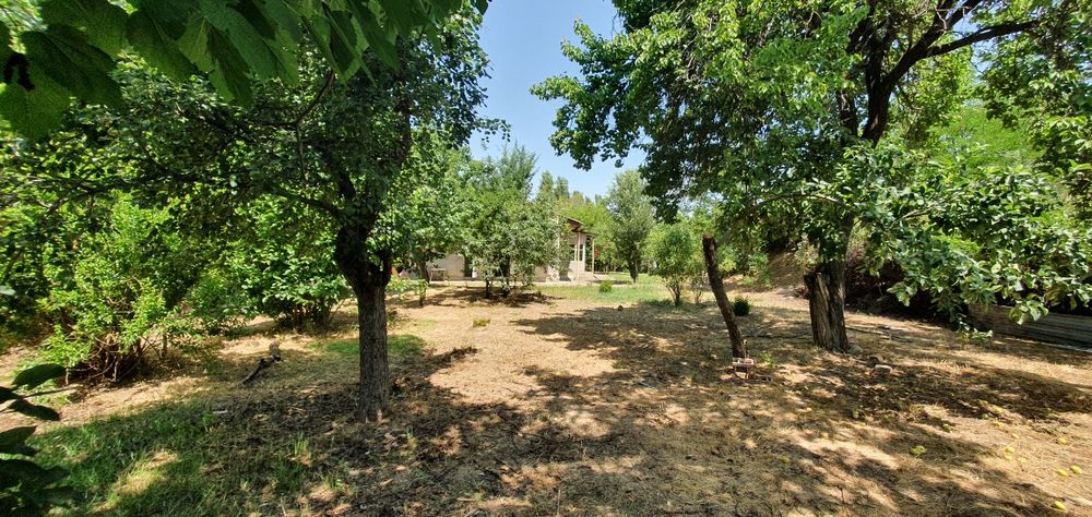 Qibray tumani Salor MFYda 10.6 sotix uchastka sotiladi