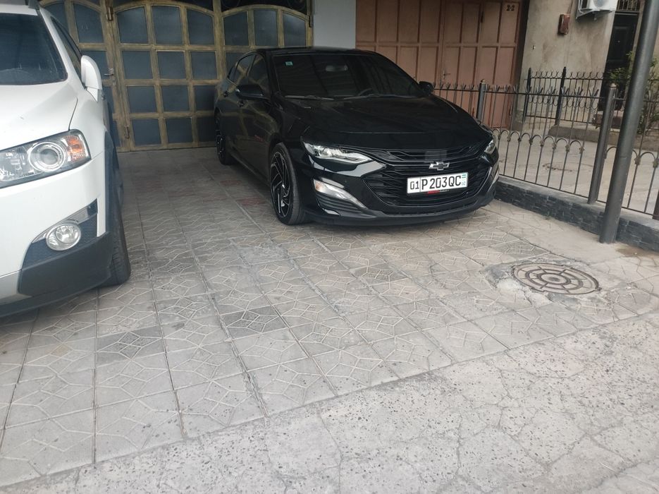 Malibu Arenda vikupga beriladi!