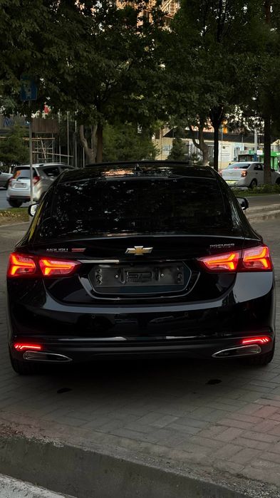 Malibu primyer 2