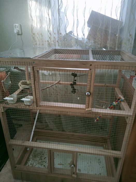 Попугай с клеткой