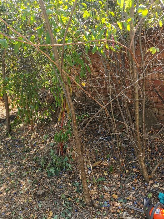 Подръжка, (Чистене) на Дворове