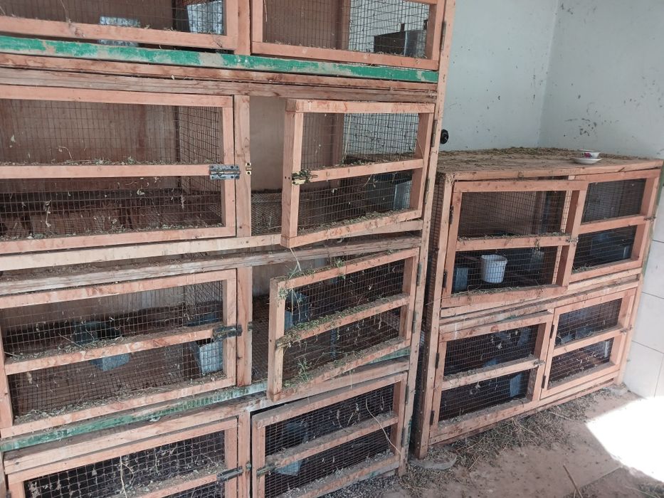 Клетка для кролика и для птиц срочно сотамиз 6 ой илатилган хули янги