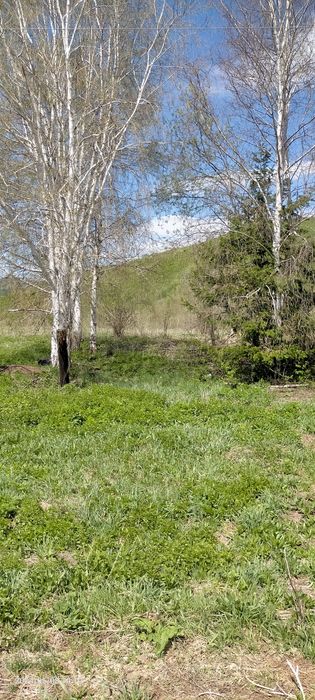 Продам землю 20 соток