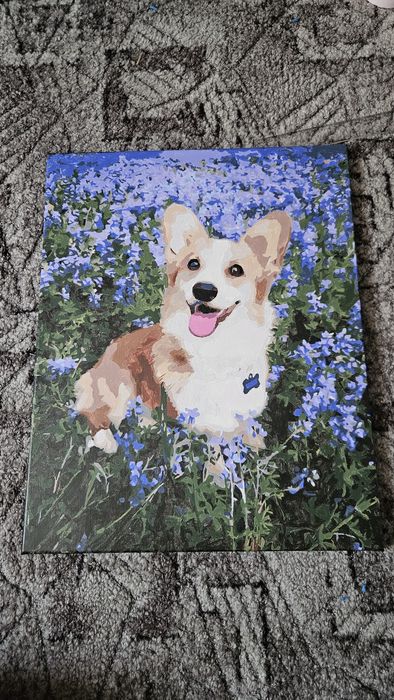 Tablou pictat pe numere - Corgi (40x50cm)