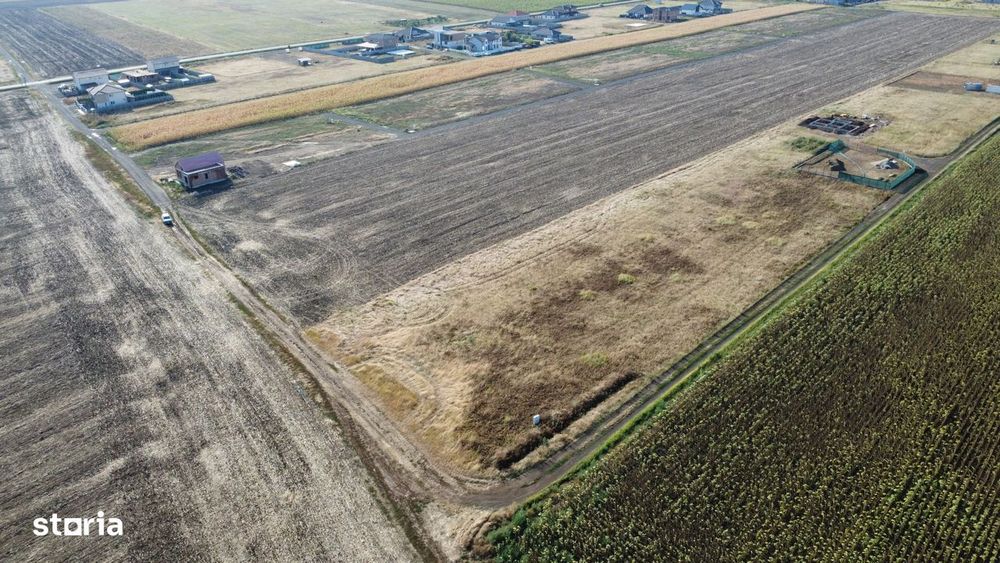 Oportunitate - Parcela teren Sanandrei - Pozitie buna