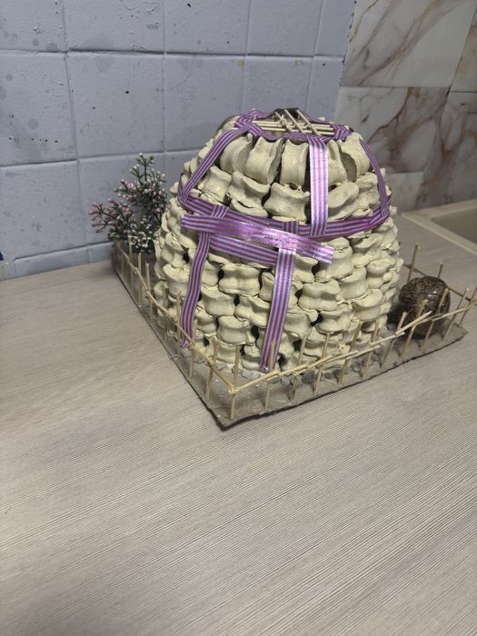 Юрта из асык. Асықтан жасалған киіз үй