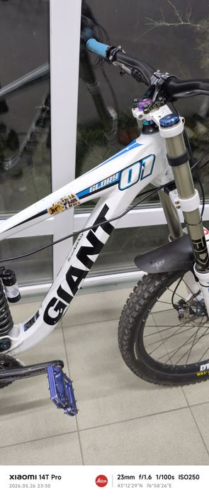 Giant glory 01 2011