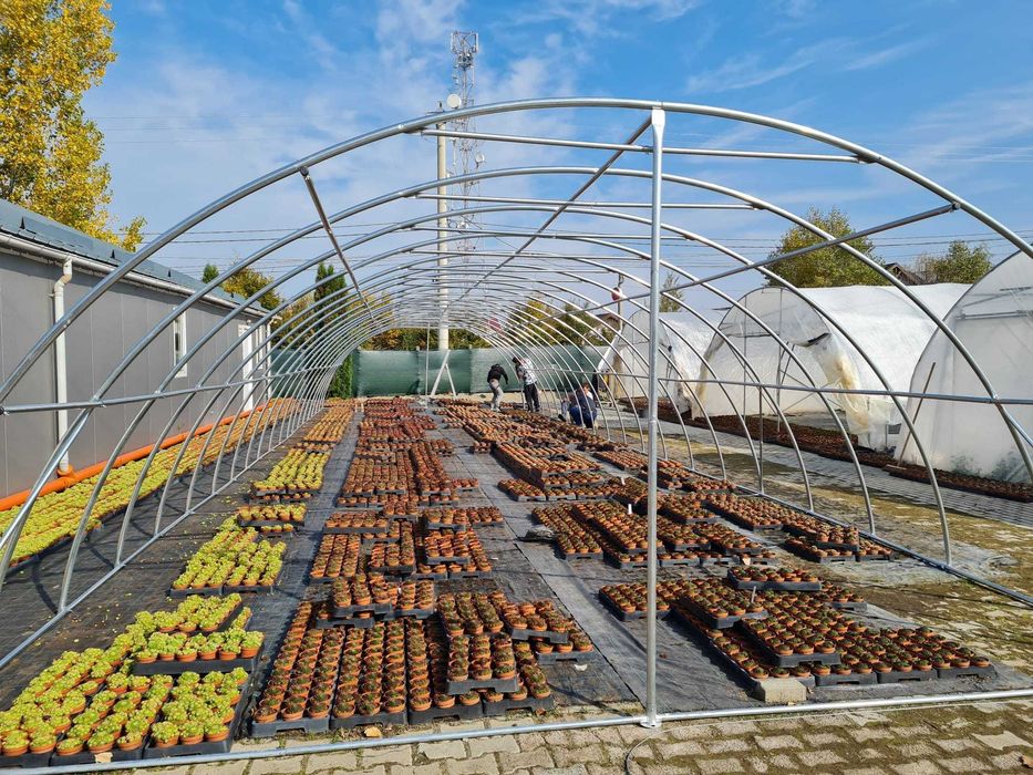6x20 m Solar de Gradina Sera Sere Solarii - Pret cu Transport ab