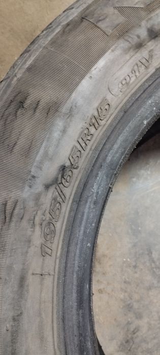 Nexen сезон лето