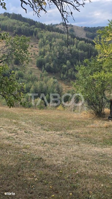 Teren de vanzare 8.300 mp Plesi Loman judetul Alba