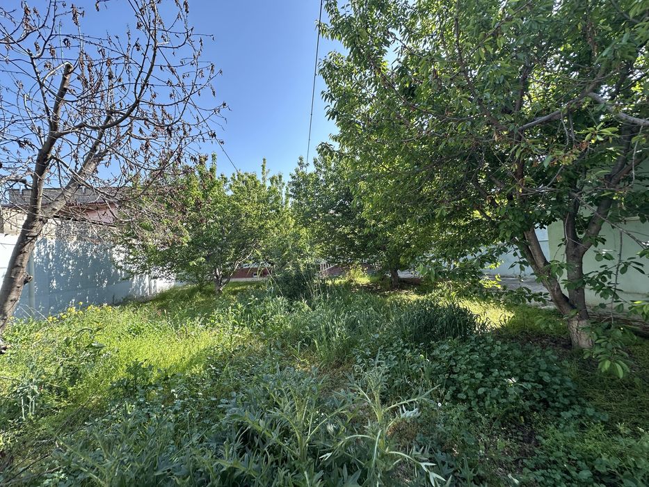 Хасанбой шахар тарафда 7 сотих ховли ер хисобида