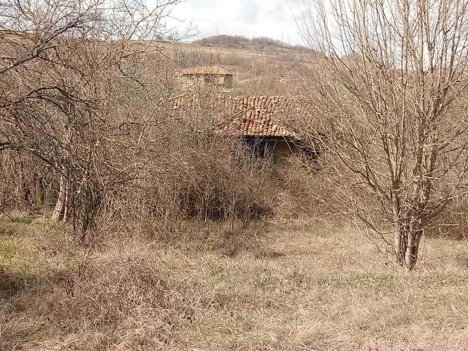 Къща с дворно място